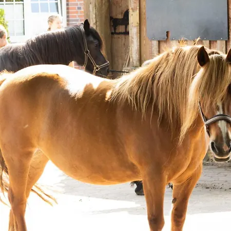 Appartement Ekenhoff