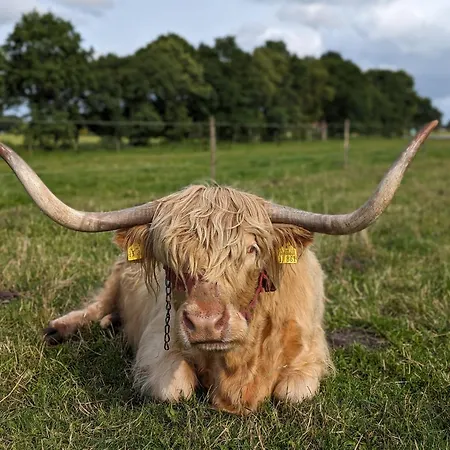 Appartement Ekenhoff Moorweg