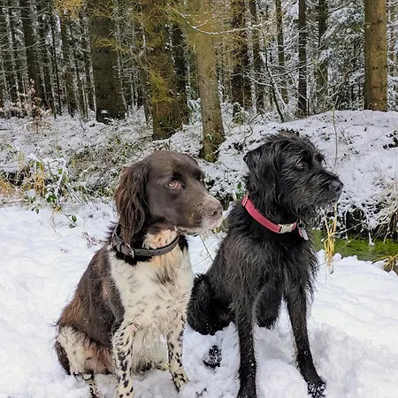 Ekenhoff Appartement