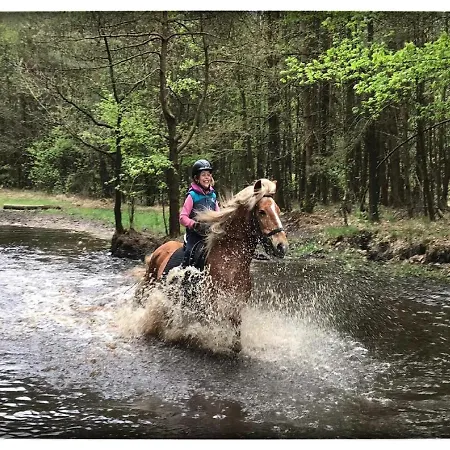 Ekenhoff Appartamento *