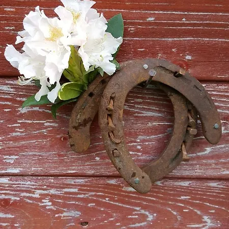 Ekenhoff Apartamento *