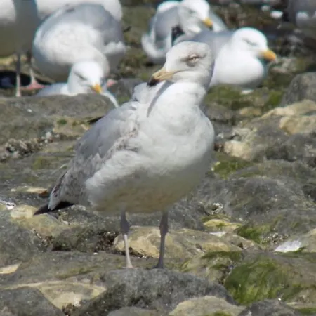 Appartamento Ekenhoff *