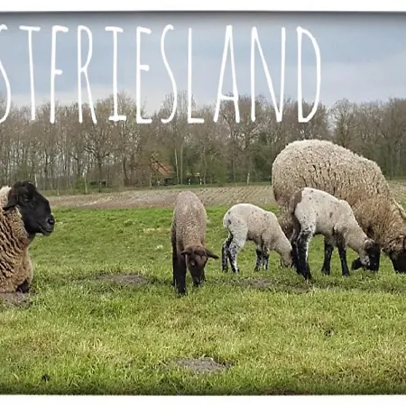 Apartamento Ekenhoff *