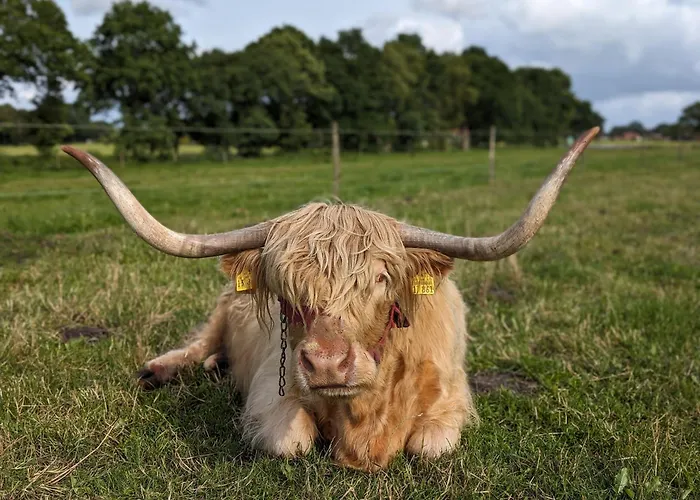 Apartamento Ekenhoff Moorweg