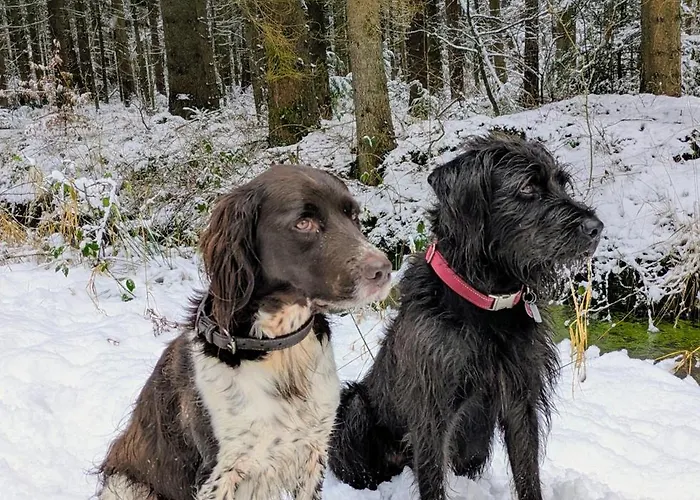 Ekenhoff Apartamento