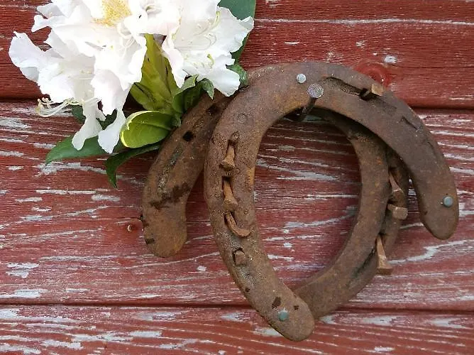 Ekenhoff Apartamento *