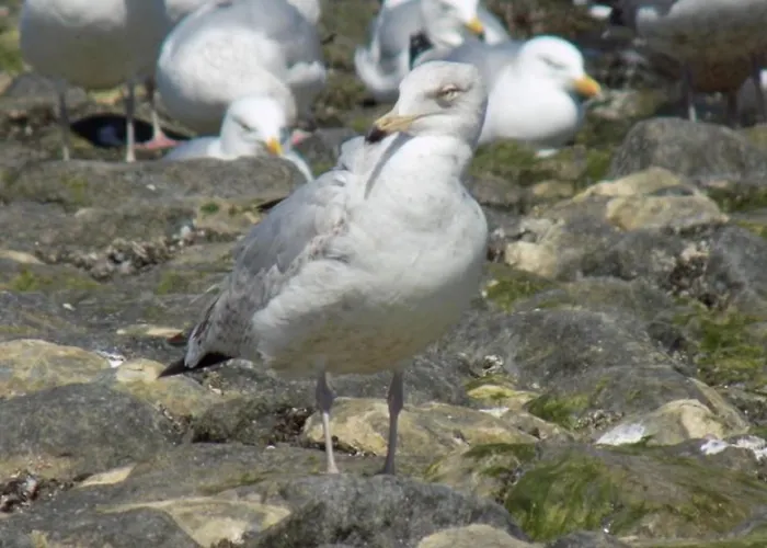 Apartamento Ekenhoff *