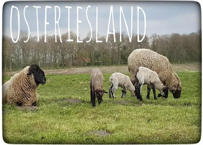 Apartamento Ekenhoff *